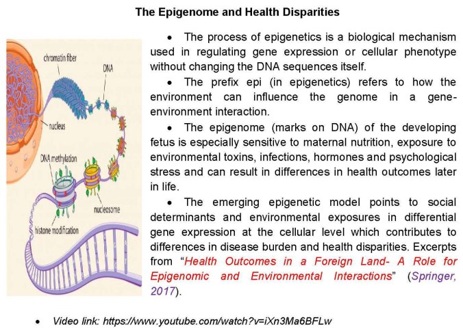 The Epigenome and Health Disparities