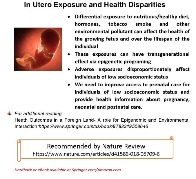 In utero exposure and health disparities